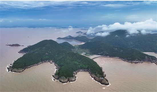 浙江通过海洋生态修复 打造最美蓝色海湾[组图]