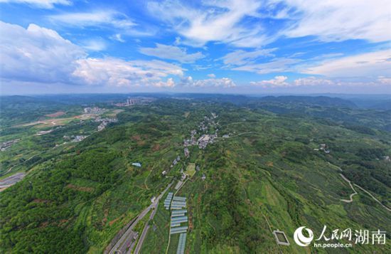 跟着总书记看中国丨“花果山”上“酿出”甜蜜新生活