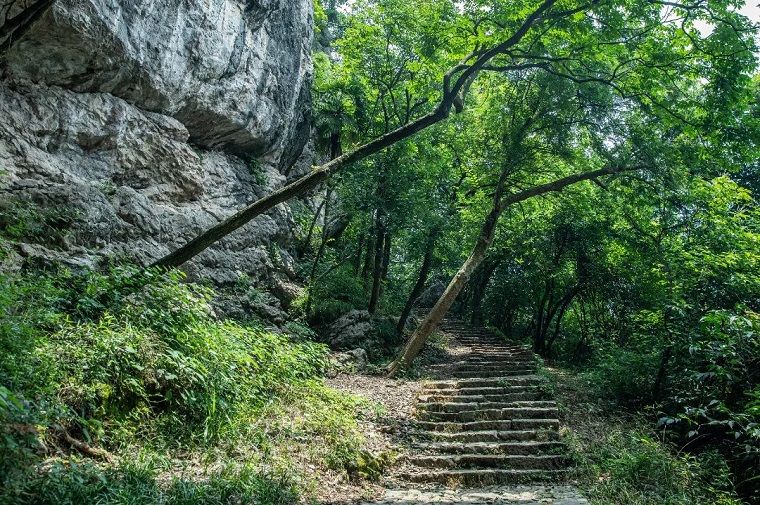 杭州Discovery·西湖|登南高峰，骋望湖山幽邃