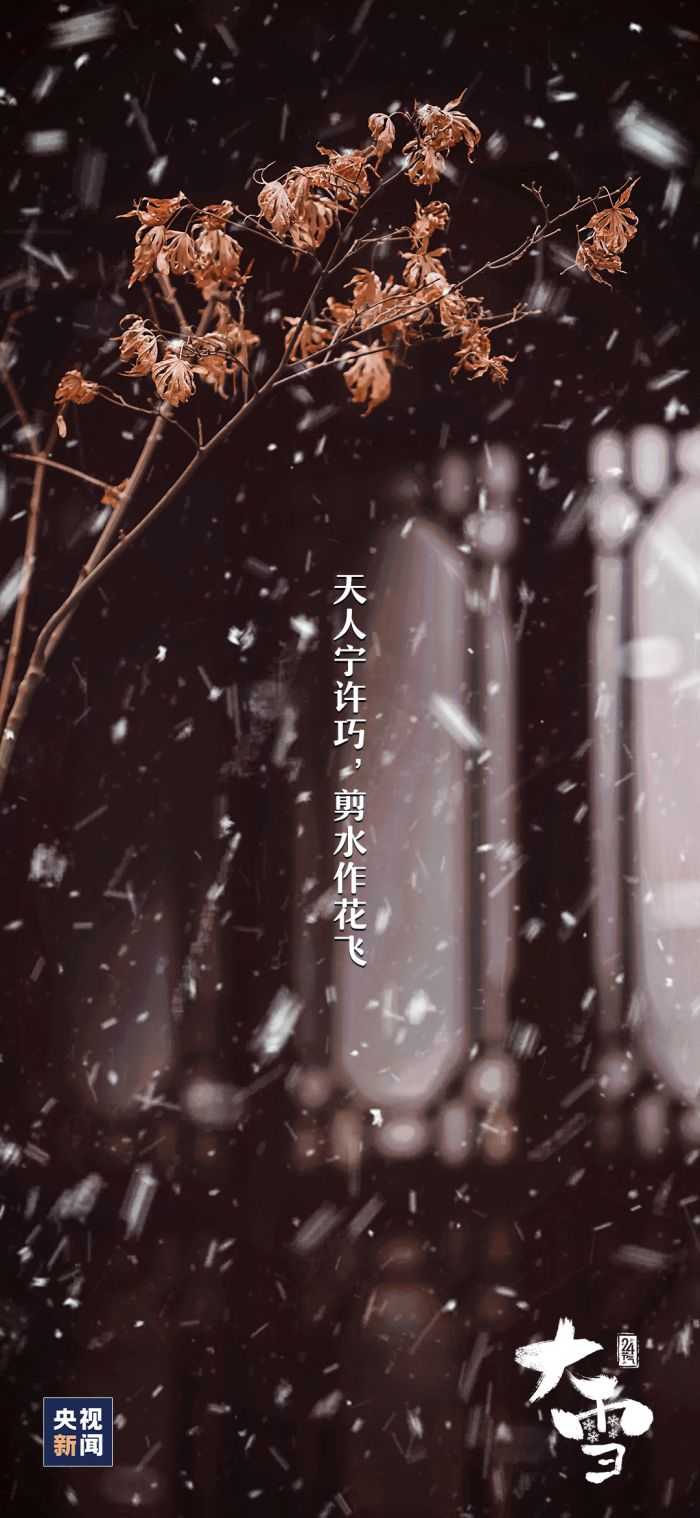 大雪，来了！