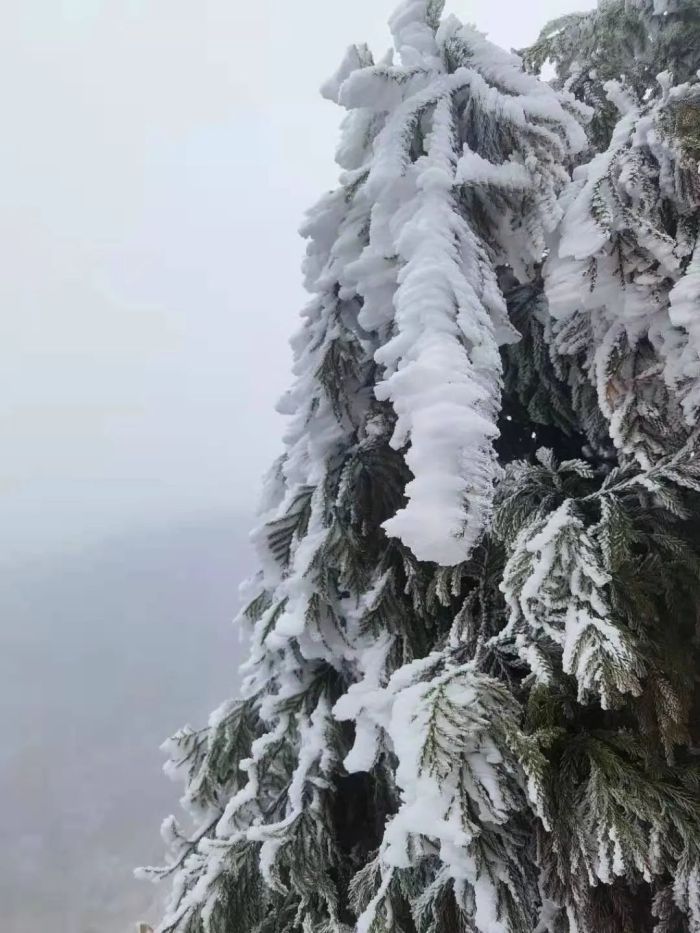 【预告】冰冻Ⅲ级预警、寒潮Ⅲ级预警！桂林下雪有消息了！？