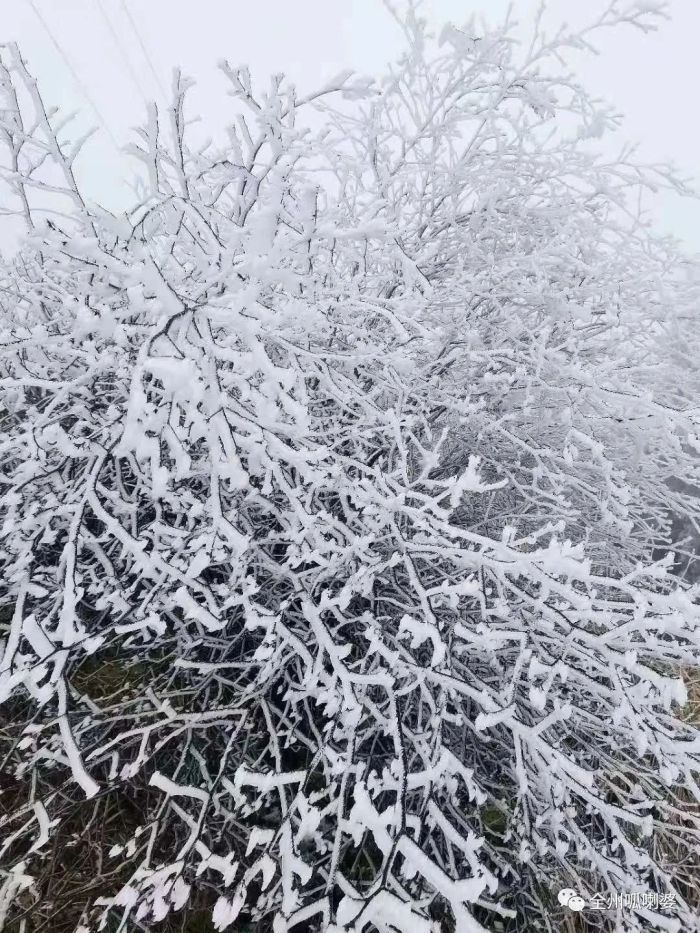 【预告】冰冻Ⅲ级预警、寒潮Ⅲ级预警！桂林下雪有消息了！？