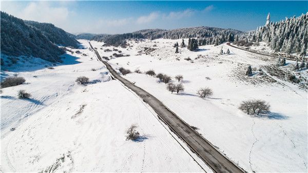 住在“诗和远方”的世外桃源 仙女山景区神仙级民宿营业