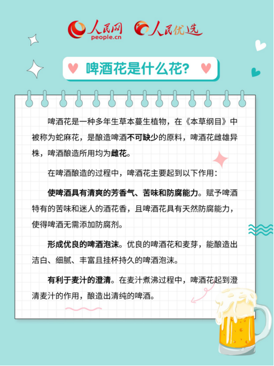 啤酒度数怎么看？啤酒花到底是什么花儿？